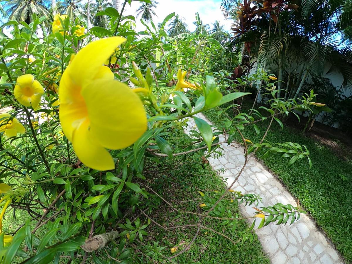 Asian Secret Resort Lamai Beach  Esterno foto